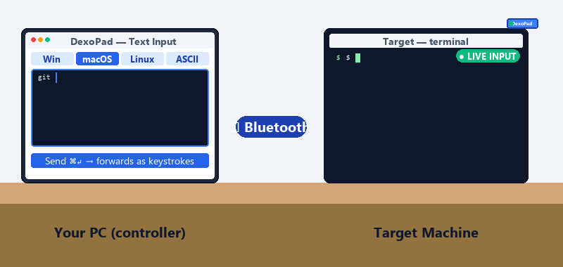 Type on PC → keystrokes land on the host